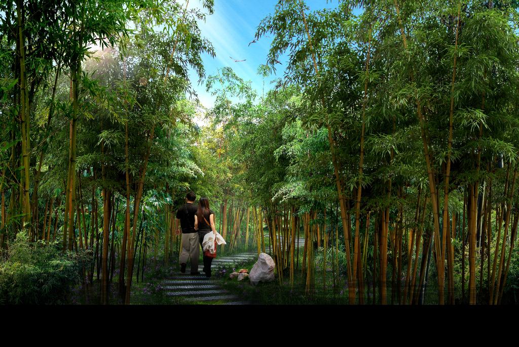 竹林羞羞视频网站在线景观设计http://ydyl.jc0371.com/