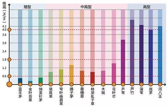 河南景观设计行业设计植物需要注重的问题有哪些？