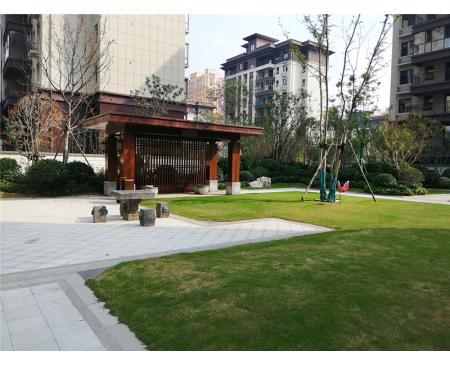 天龙郡实景公司